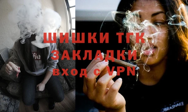 шишки Алексин